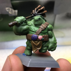 Picture of print of Tortle Peacekeeper Miniature - Pre-Supported