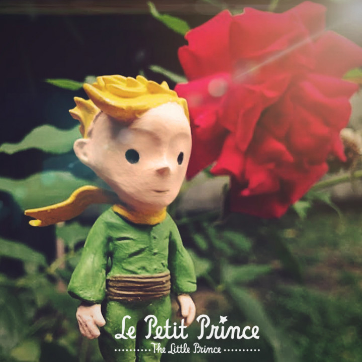 Le Petit Prince_The Little Prince