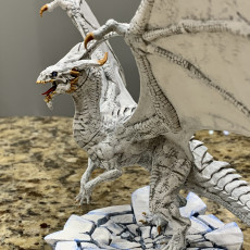 Picture of print of Ancient White Dragon
