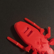 Picture of print of Articulated Roach