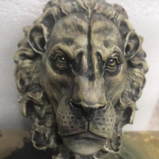 Picture of print of lion head