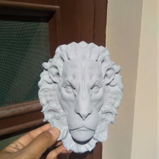 Picture of print of lion head