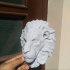 lion head print image