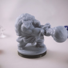 Picture of print of Tortle Master Monk Miniature - Pre-Supported