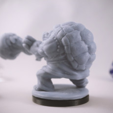 Picture of print of Tortle Master Monk Miniature - Pre-Supported