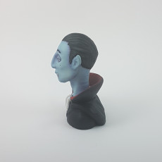 Picture of print of Vampire character bust
