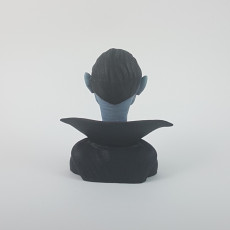 Picture of print of Vampire character bust