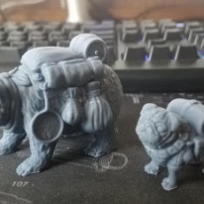 Picture of print of Pack Pug