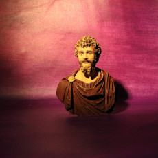 Picture of print of Portrait of Septimius Severus This print has been uploaded by Creative Journeys
