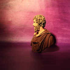 Picture of print of Portrait of Septimius Severus This print has been uploaded by Creative Journeys