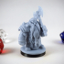 Dwarf Guardian Variant Miniature - pre-supported image