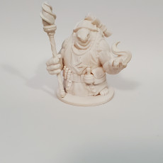 Picture of print of Tortle Sorcerer Variant Miniature - Pre-Supported