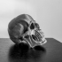 Skull Version 1.1 image