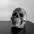Skull Version 1.1 image