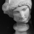 Head of the Mourning Penelope image