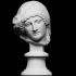 Head of the Mourning Penelope image