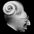 Armet - The Horned Helmet (1512) image