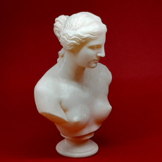 Picture of print of Bust of Venus de Milo This print has been uploaded by Frank Li