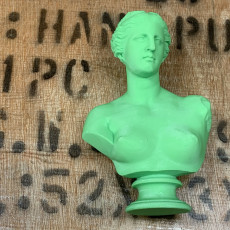Picture of print of Bust of Venus de Milo This print has been uploaded by Maestro Craft