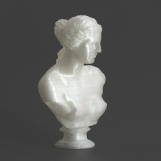 Picture of print of Bust of Venus de Milo This print has been uploaded by Antonin T. Clark