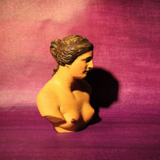 Picture of print of Bust of Venus de Milo