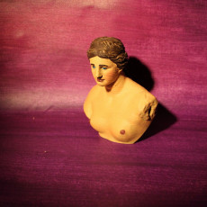 Picture of print of Bust of Venus de Milo