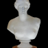 Bust of Venus de Milo image