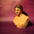 Bust of Venus de Milo print image