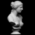 Bust of Venus de Milo image