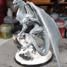 Picture of print of Young White Dragon