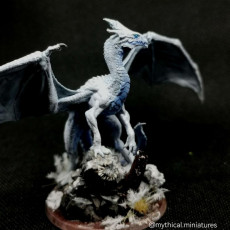 Picture of print of Young White Dragon