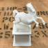 Rearing Horse / Da Vinci Horse print image