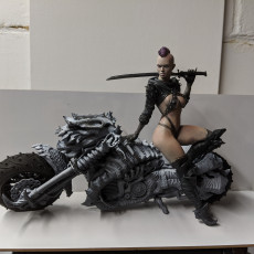Picture of print of Cyber Metal Biker Chick