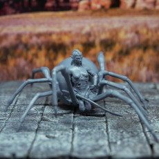 Picture of print of Drider - Tabletop Miniature