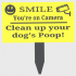 Pick up your Dog's Poop image