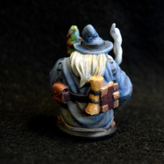 Picture of print of Dwarven Wizard/Sorcerer Miniature - pre-supported This print has been uploaded by John B.