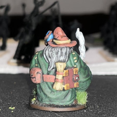 Picture of print of Dwarven Wizard/Sorcerer Miniature - pre-supported