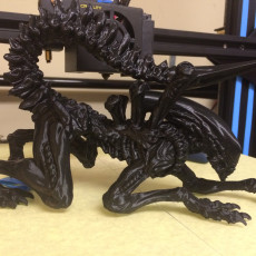 Picture of print of Alien - Xenomorph Tree support remix This print has been uploaded by Tanner Brown
