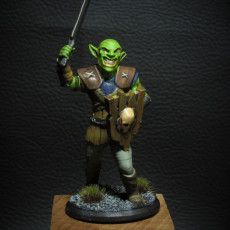 Picture of print of Goblin Fighter - Miniature This print has been uploaded by Stiven Bünger