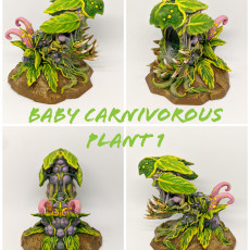 Picture of print of BABY CARNIVOROUS PLANT OPENED This print has been uploaded by Mike Abraham