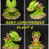 8 CARNIVOROUS PLANTS print image