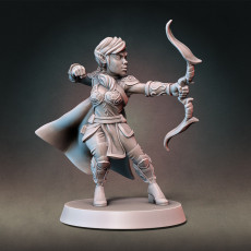 Patreon January2020 Release - Elf Rangers and Rogues