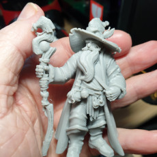 Picture of print of Hero Wizard (Pre-Supported)