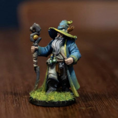 Picture of print of Hero Wizard (Pre-Supported)