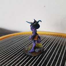 Picture of print of Dragon Sorceress (Pre-Supported) This print has been uploaded by Daniel Giesbrecht