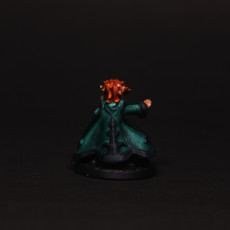 Picture of print of Apprentice Wizard (Pre-Supported)