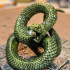 Giant Snakes - 2 Units (AMAZONS! Kickstarter) print image