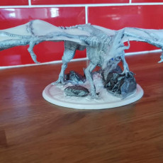 Picture of print of White Dragon