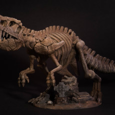 Picture of print of T-REX + RIDER