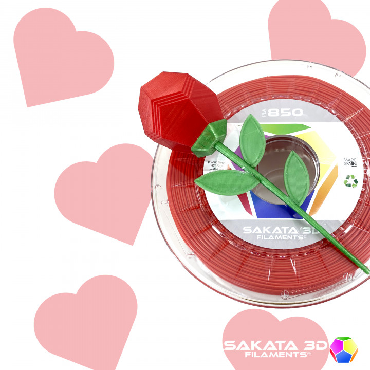 Sakata 3D Filaments Rose
